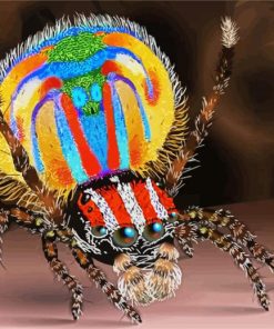 Colorful Spider paint by number