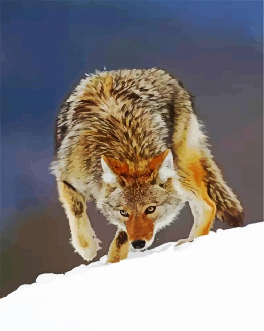 Coyote In Snow Animal paint by numbers