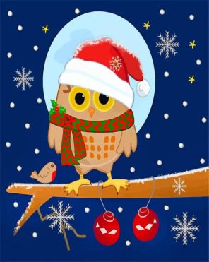 Cute Owl With Red Hat paint by numbers