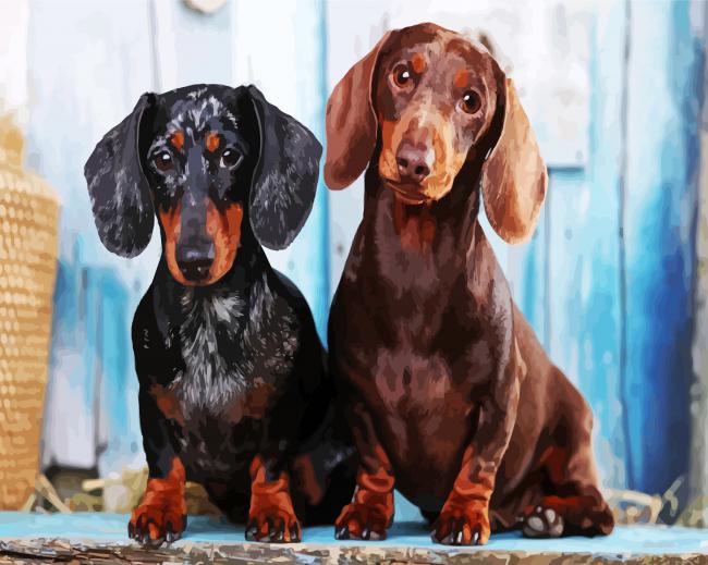 Two Dachshund Dogs paint by numbers