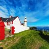 Dingle Harbour Lighthouse paint by number