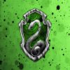 Slytherin Logo Harry Potter paint by numbers