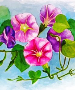 Morning Glory Flowers paint by numbers