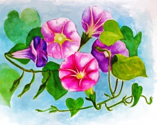 Morning Glory Flowers paint by numbers