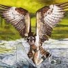 Osprey Catching Fish paint by numbers