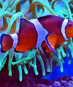 Adorable Clownfish In The Sae paint by numbers