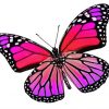 Pink And Purple Butterfly paint by number