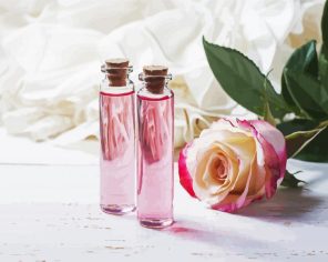 Pink Rose And Glass paint by numbers
