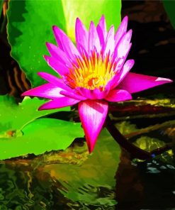 Pink WaterLily In Water paint by numbers