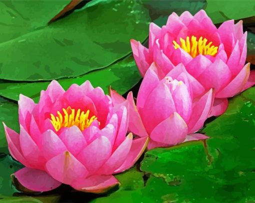 Pink WaterLily paint by numbers