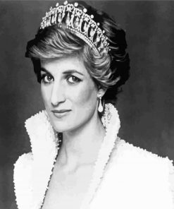 Princess Diana Black And White paint by numbers
