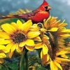 Red Cardinal On Sunflowers paint by number