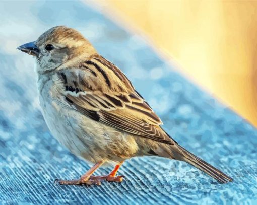 Cute Sparrow Bird Animal paint by numbers
