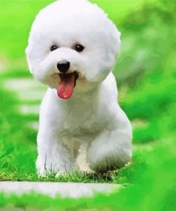 Cute Bichon Puppy paint by number