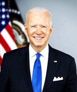 Joe Biden USA President paint by number