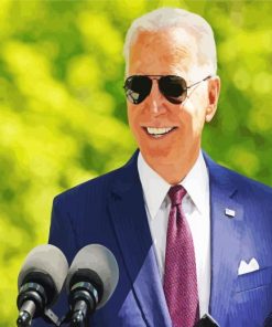 Joe Biden Wearing Glasses paint by number