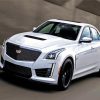 Cool White CTS V CAR paint by number