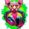 Musical Sphynx Cat paint by numbers