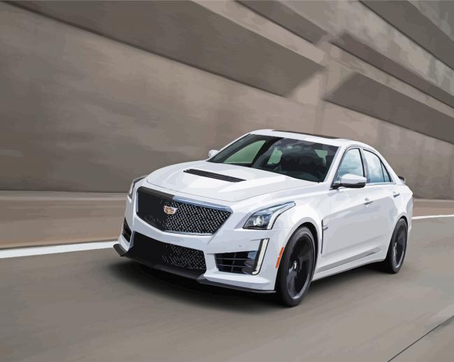 White CTS V CAR paint by number