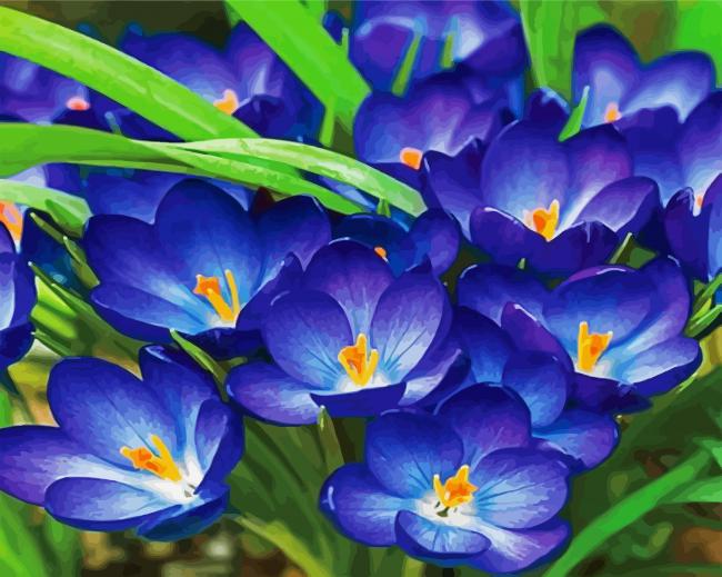 Whitewell Purple Crocus paint by number