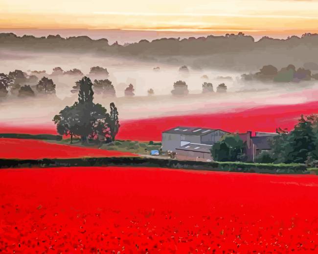 English Poppy Field paint by numbers