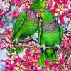 Amazon Parrots Art paint by numbers