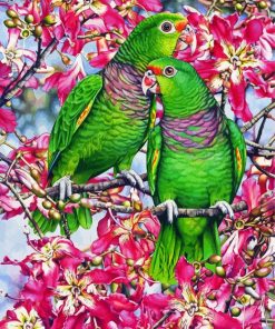 Amazon Parrots Art paint by numbers