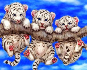 Baby White Tigers Hanging paint by numbers