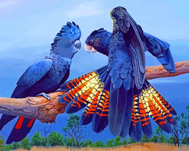 Black Cockatoos Birds paint by numbers