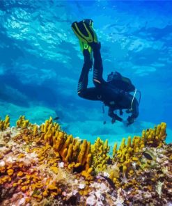 Deep Sea Diver Croatia paint by numbers