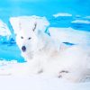 White Beautiful Ice Wolf paint by numbers