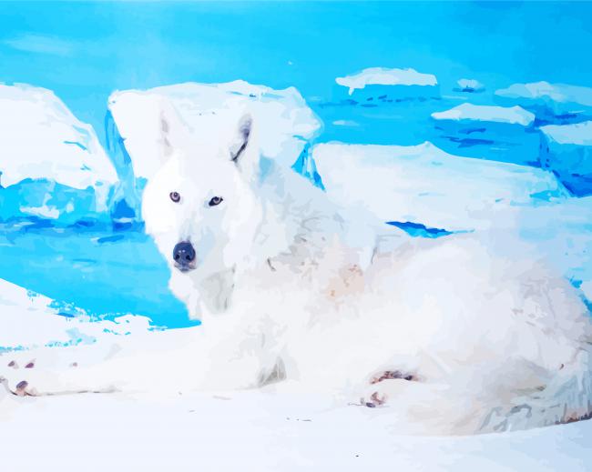 White Beautiful Ice Wolf paint by numbers
