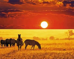 African Landscape Sunset paint by numbers
