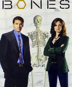 Booth And Brennan Bones Serie Poster paint by numbers