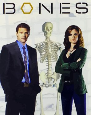 Booth And Brennan Bones Serie Poster paint by numbers