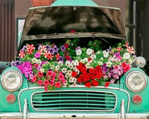 Flowers And Car paint by numbers