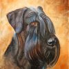 Giant Schnauzer Art Dog paint by numbers