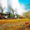 Gwr Train Art paint by numbers