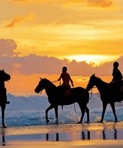 Horses On The Beach At Sunset paint by numbers