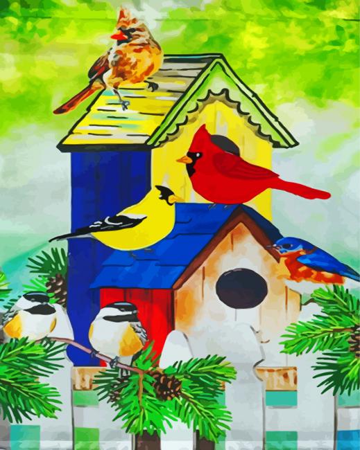 House And Colorful Birds On A Fence paint by numbers