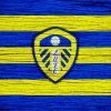 Leeds United Football Logo paint by numbers