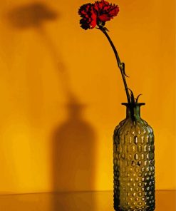 Red Flower In Bottle paint by numbers