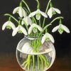 Snow Drops In Glass Bowl paint by numbers