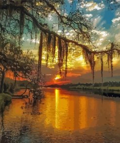 Spanish Moss At Sunset paint by numbers