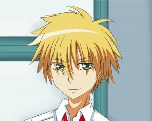Takumi Usui Anime Character paint by numbers