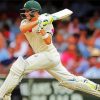 The Australian Steve Smith paint by numbers