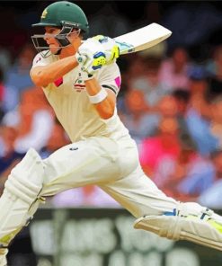 The Australian Steve Smith paint by numbers