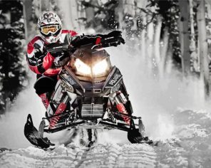 The Snowmobile Rider paint by numbers