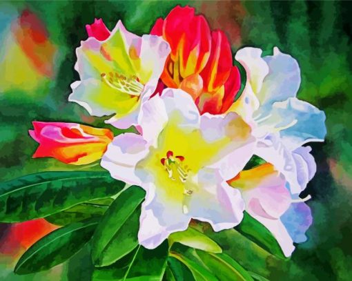 White Red Rhododendron Plants paint by numbers