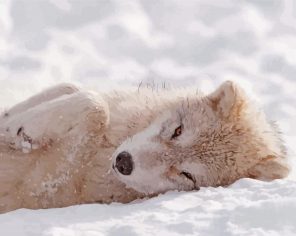 Wolf Pup In Snow paint by numbers